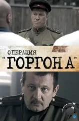 Операция «Горгона» (2011)