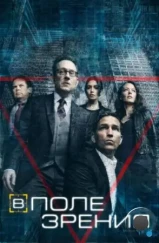 В поле зрения / Person of Interest (2011)