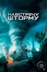 Навстречу шторму / Into the Storm (2014)