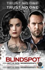 Слепая зона / Blindspot (2015)