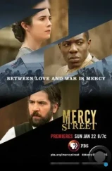 Улица милосердия / Mercy Street (2016)