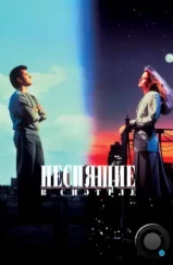 Неспящие в Сиэтле / Sleepless in Seattle (1993)