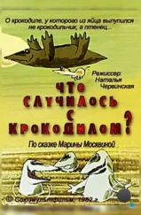 Что случилось с крокодилом? (1982)