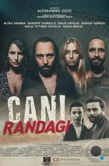 Бродячие псы / Cani randagi (2023)