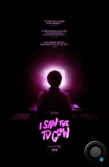 Я видел свет телевизора / I Saw the TV Glow (2024)