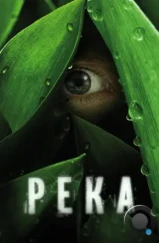 Река / The River (2012)