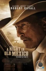 Ночь в старой Мексике / A Night in Old Mexico (2013) L1