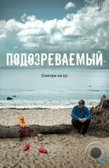 Подозреваемый (2017)