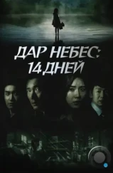 Дар небес: 14 дней / Sinui seonmul - 14il (2014)