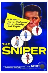 Снайпер / The Sniper (1952) A