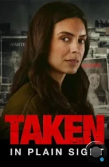 Похищенная на виду / Taken in Plain Sight (2024)