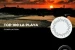 TOP 100 La Playa (2024)