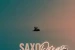 Sea.Bass Beat - Saxo Dream (2024)