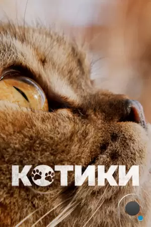 Котики / Cat Daddies (2022)