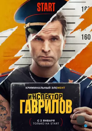 Инспектор Гаврилов (2023)