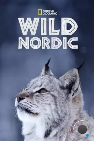 Дикая Скандинавия / Wild Nordic (2019)