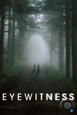 Свидетели / Eyewitness (2016)