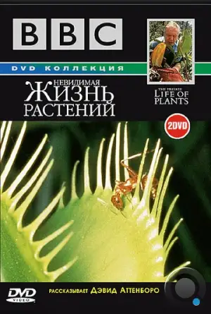 BBC: Невидимая жизнь растений / The Private Life of Plants (1995)