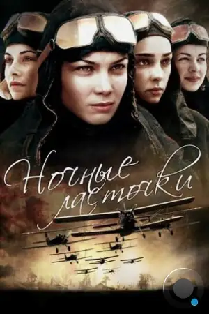 Ночные ласточки (2013)