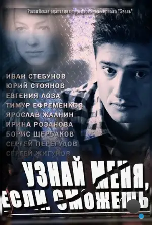 Узнай меня, если сможешь (2014)