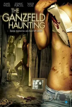 Эксперимент Ганцфельда / The Ganzfeld Haunting (2013) L1