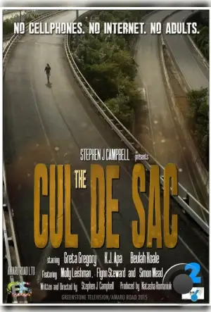 Тупик / The Cul De Sac (2016)