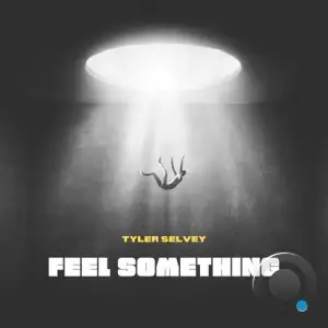  Tyler Selvey - Feel Something (2024) 