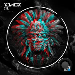  Tomok - 333 (2024) 