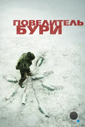 Повелитель бури / The Hurt Locker (2008)