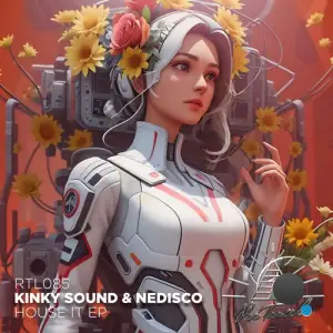  Kinky Sound & Nedisco - House It (2024) 