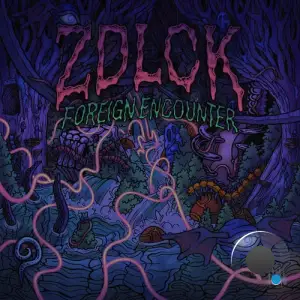 Zdlck -  Foreign Encounter (2024) 