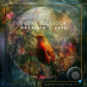  Bjorn Salvador - Feel / Dreamin' (2024) 