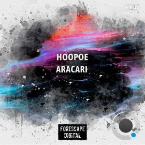  Hoopoe - Aracari (2024) 