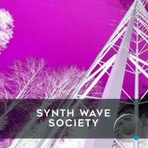  Synth Wave Society (2024) 