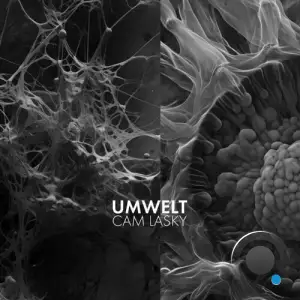  Cam Lasky - UMWELT Vol.3 (2024) 