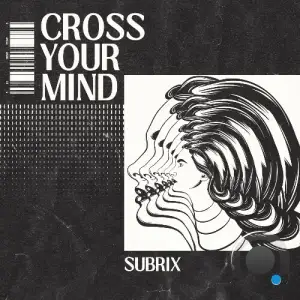  Subrix - Cross Your Mind (2024) 