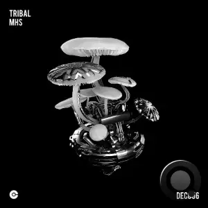  MHS - Tribal (2024) 