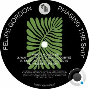  Felipe Gordon - Phasing The Shit (2024) 