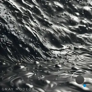  Gray Mode 04 (2024) 