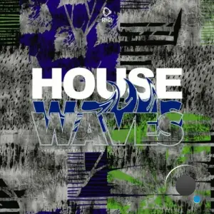  House Waves, Vol. 7 (2024) 