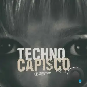  Techno Capisco, Vol. 11 (2024) 