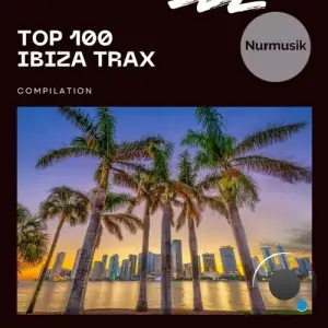  Top 100 Ibiza Trax (2024) 