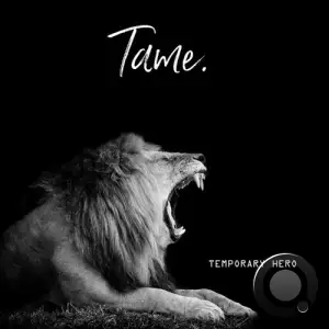  Temporary Hero - Tame (Remixes) (2024) 