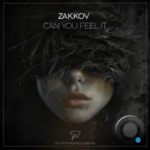  Zakkov - Can You Feel It (2024) 