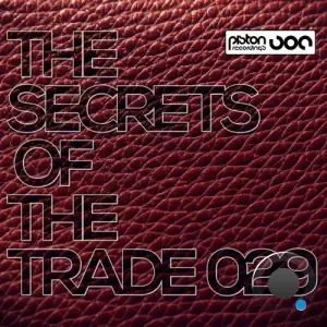  The Secrets Of The Trade 029 (2024) 