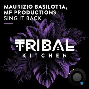  Maurizio Basilotta & MF Productions - Sing It Back (2024) 