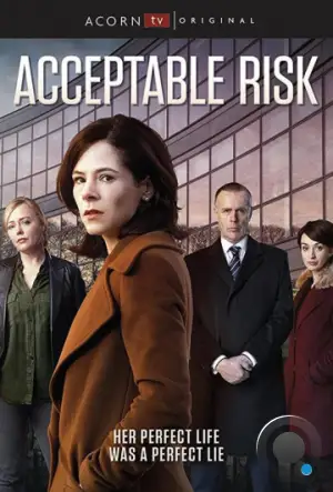 Допустимый риск / Acceptable Risk (2017)