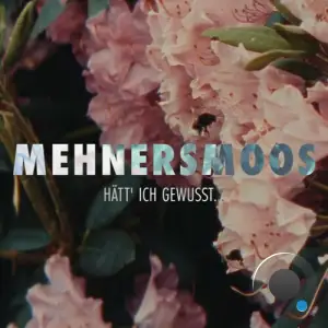  Mehnersmoos - Haett ich gewusst (2024) 