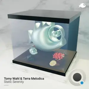  Tomy Wahl & Terra Melodica - Static Serenity (2024) 