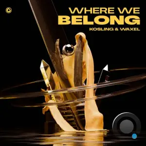  Kosling & Waxel - Where We Belong (2024) 